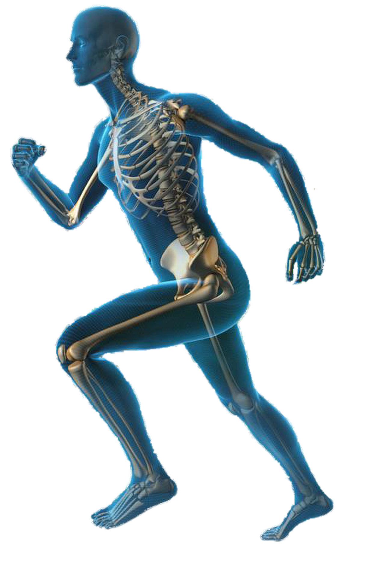 physical-therapist-assistants-prescott-physical-therapy